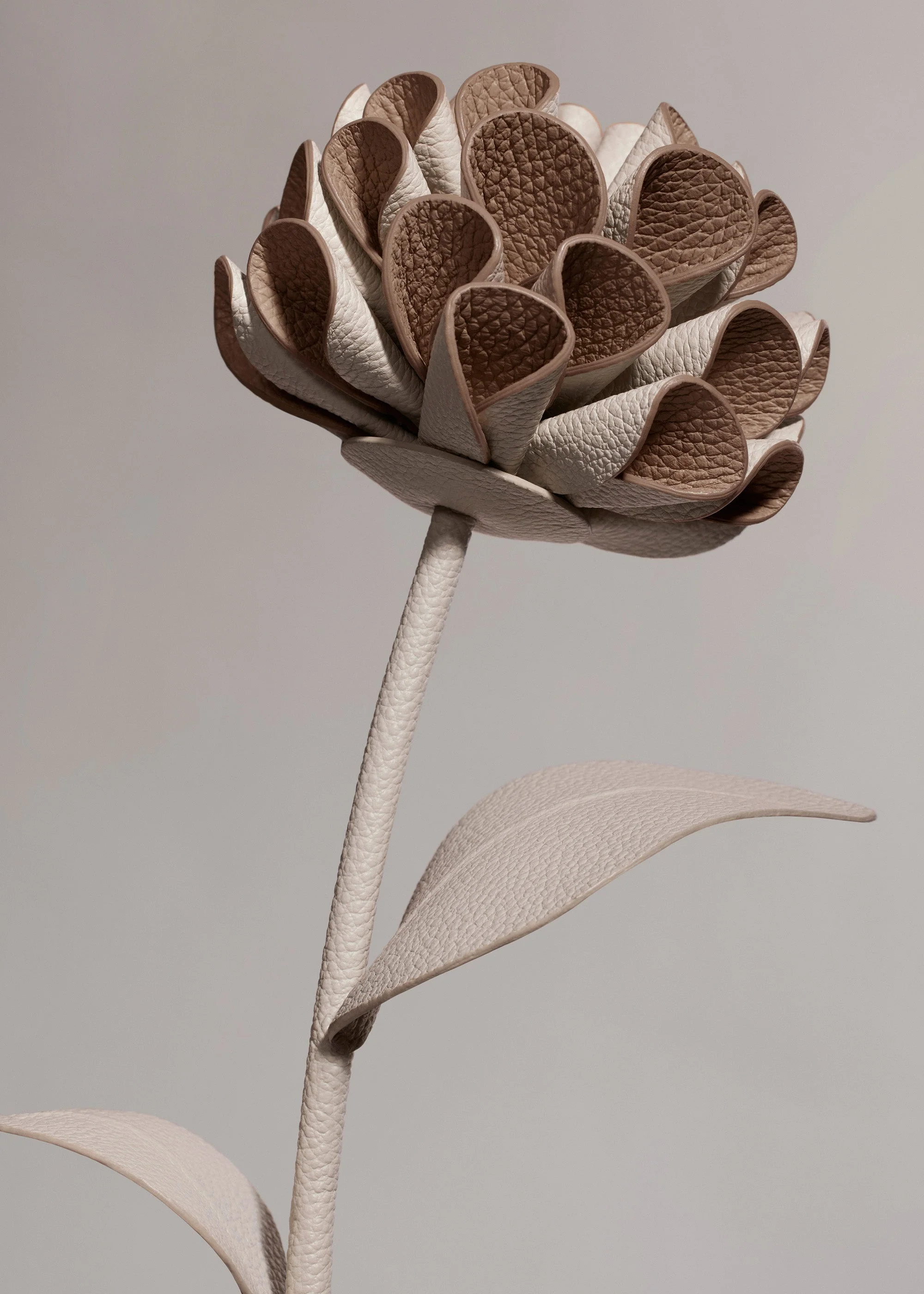 Blume Dalium - Kreide - Image 3