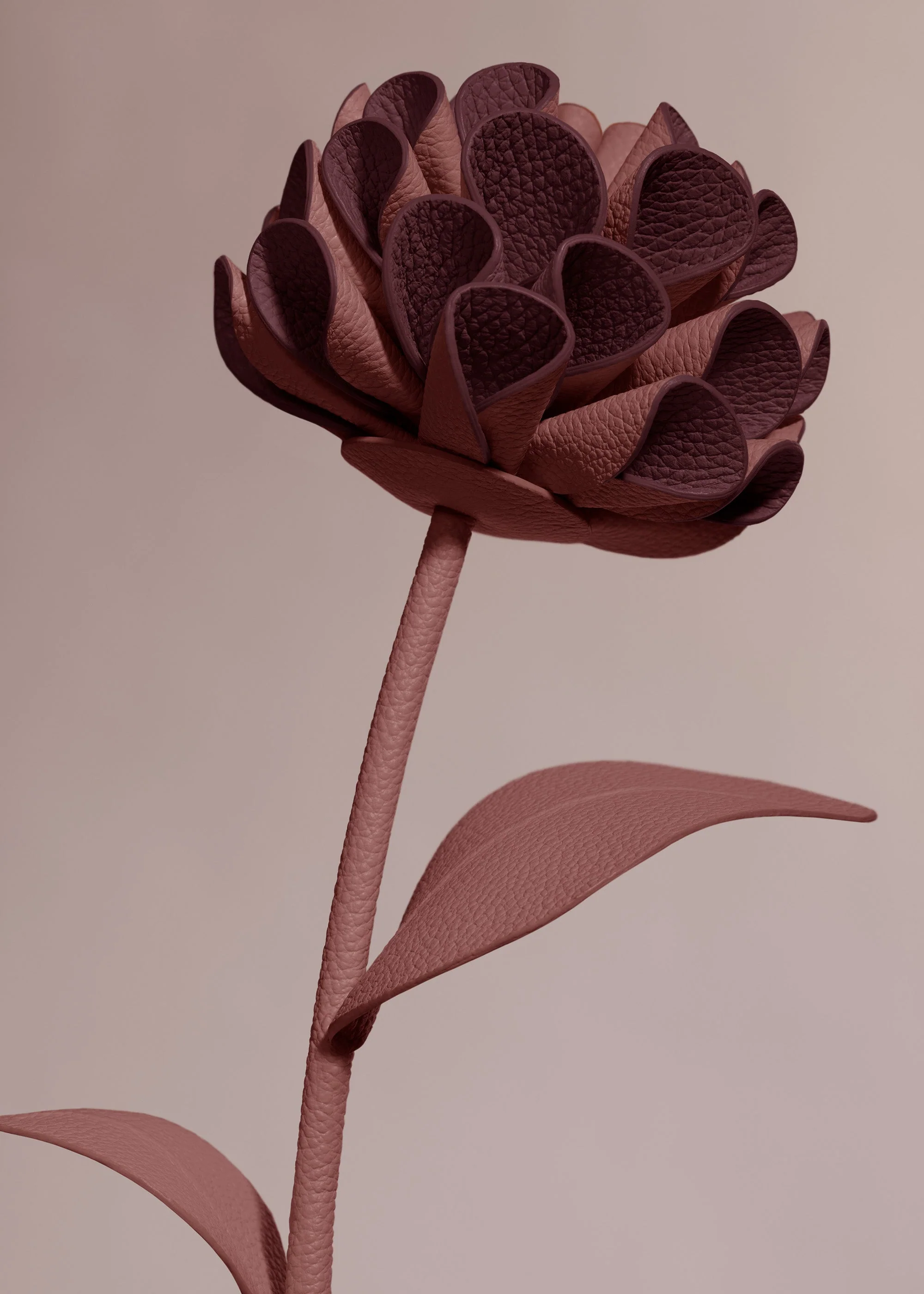 Blume Dalium - Lilac - Image 3