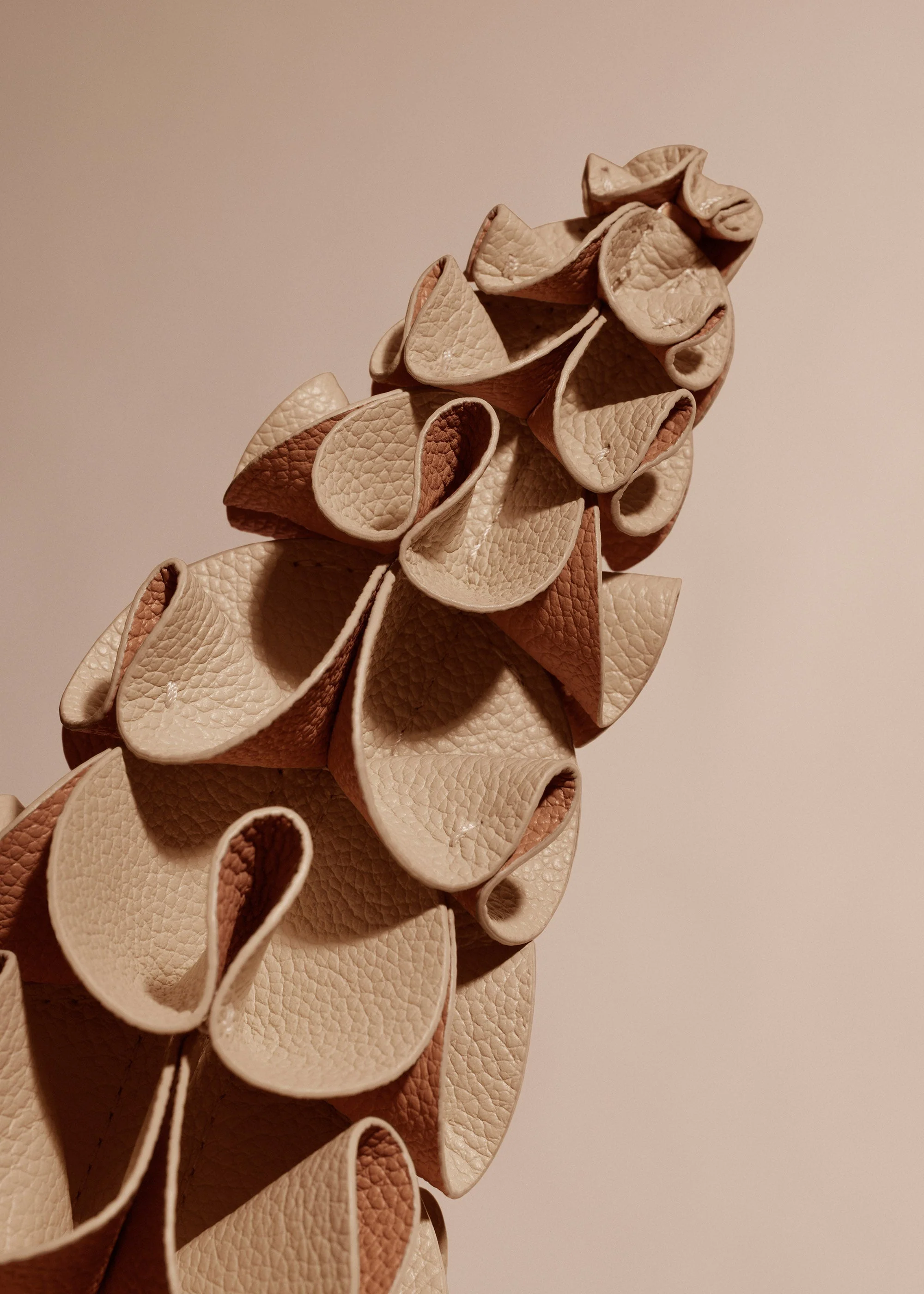 Blume Orki - Beige - Image 3