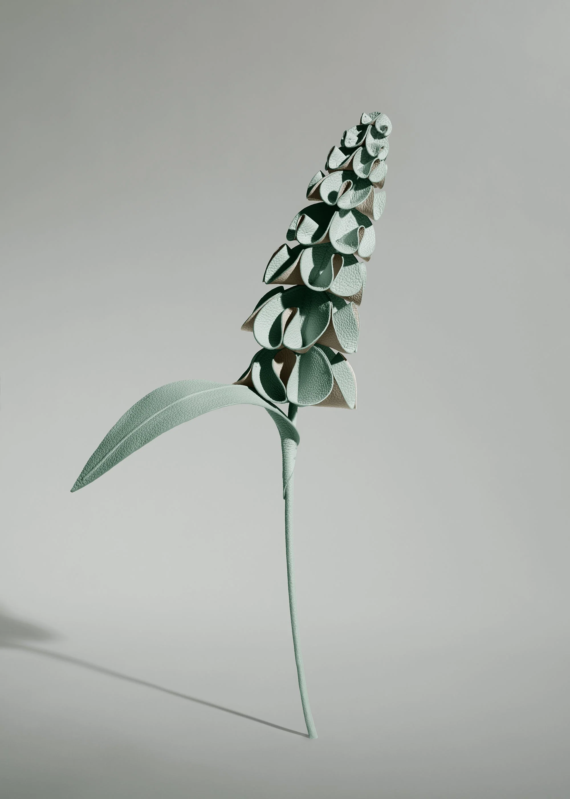 Blume Orki - Mandel Fresh - Image 2
