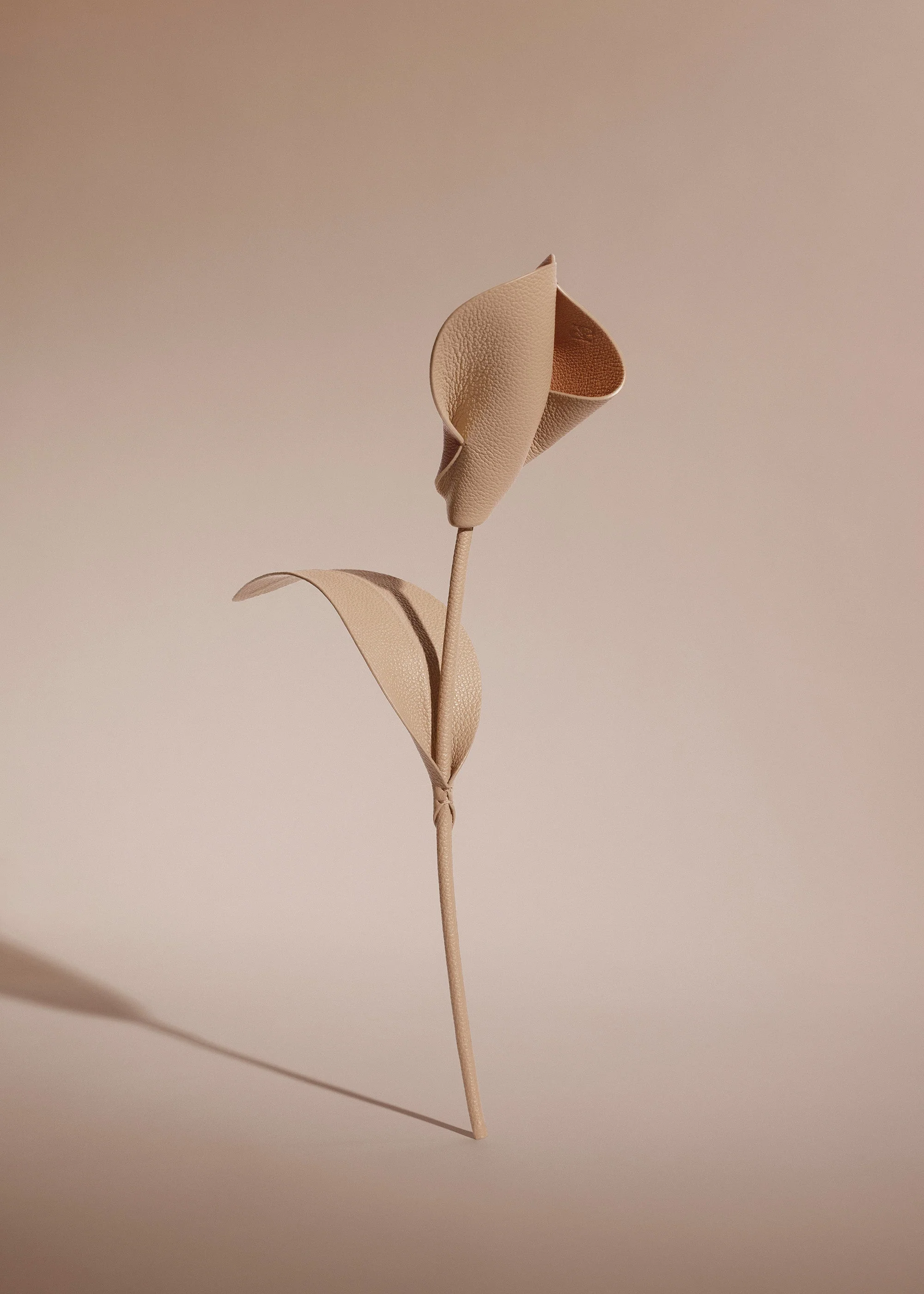 Blume Pili - Beige - Image 2