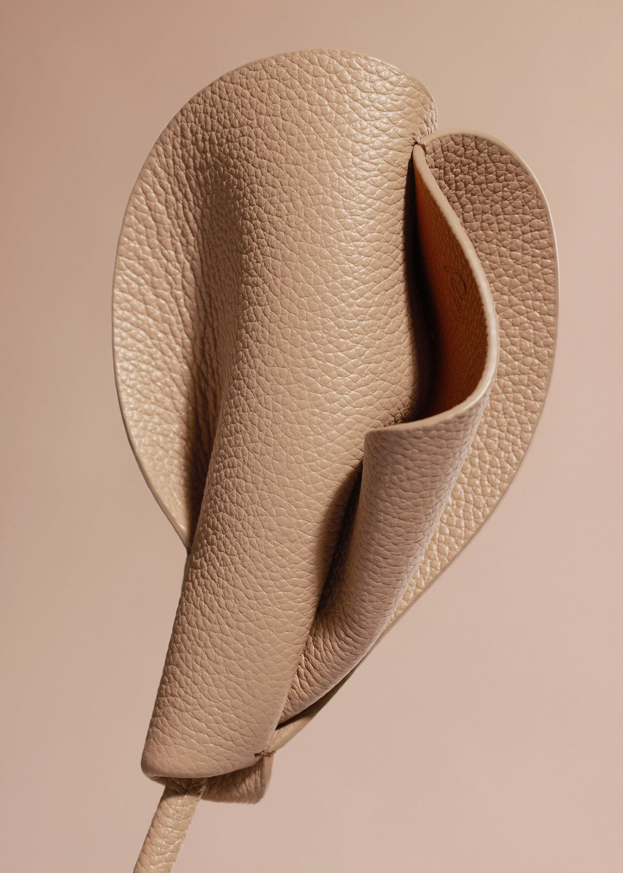 Blume Pili - Beige - Image 3