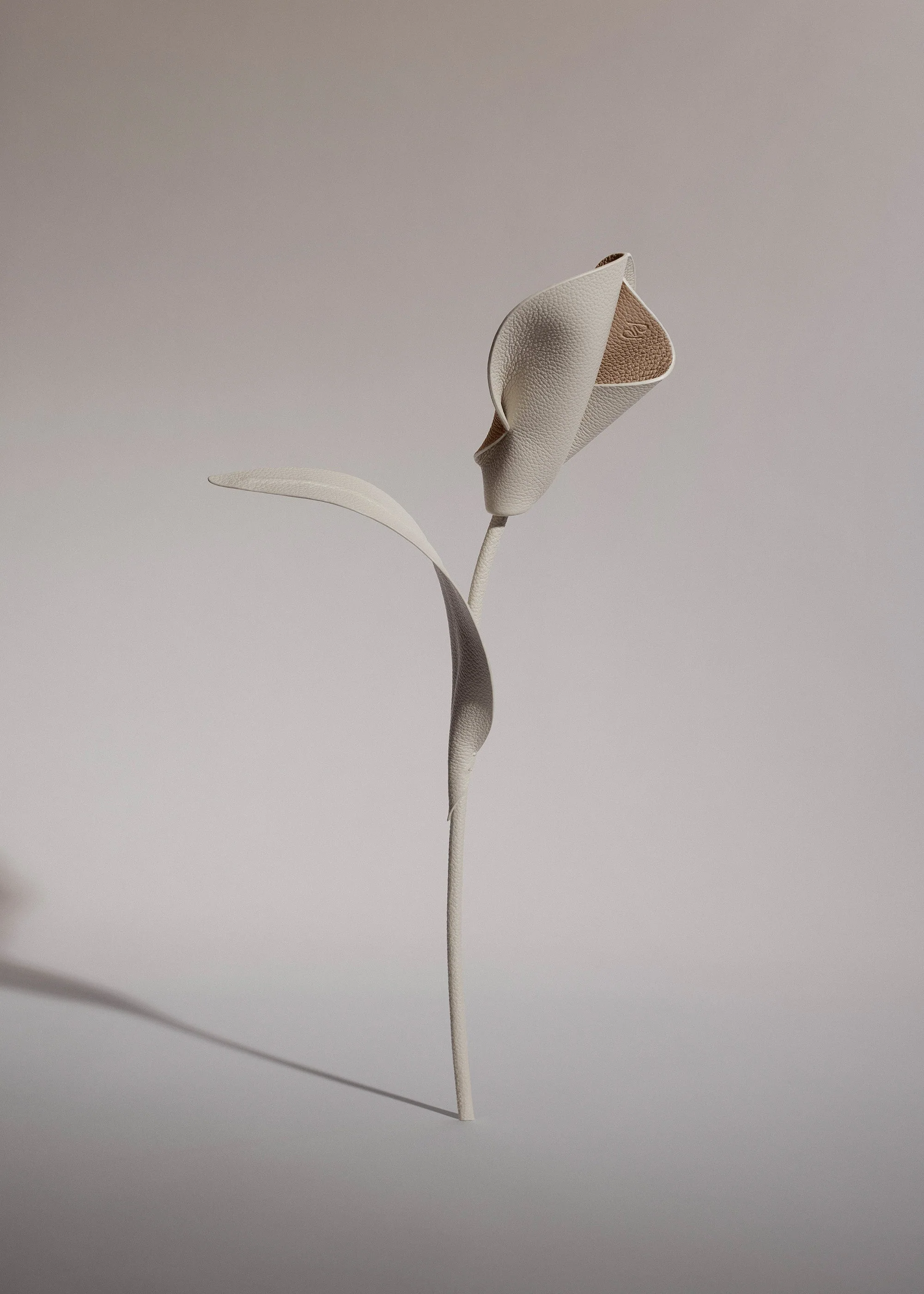 Blume Pili - Kreide - Image 2