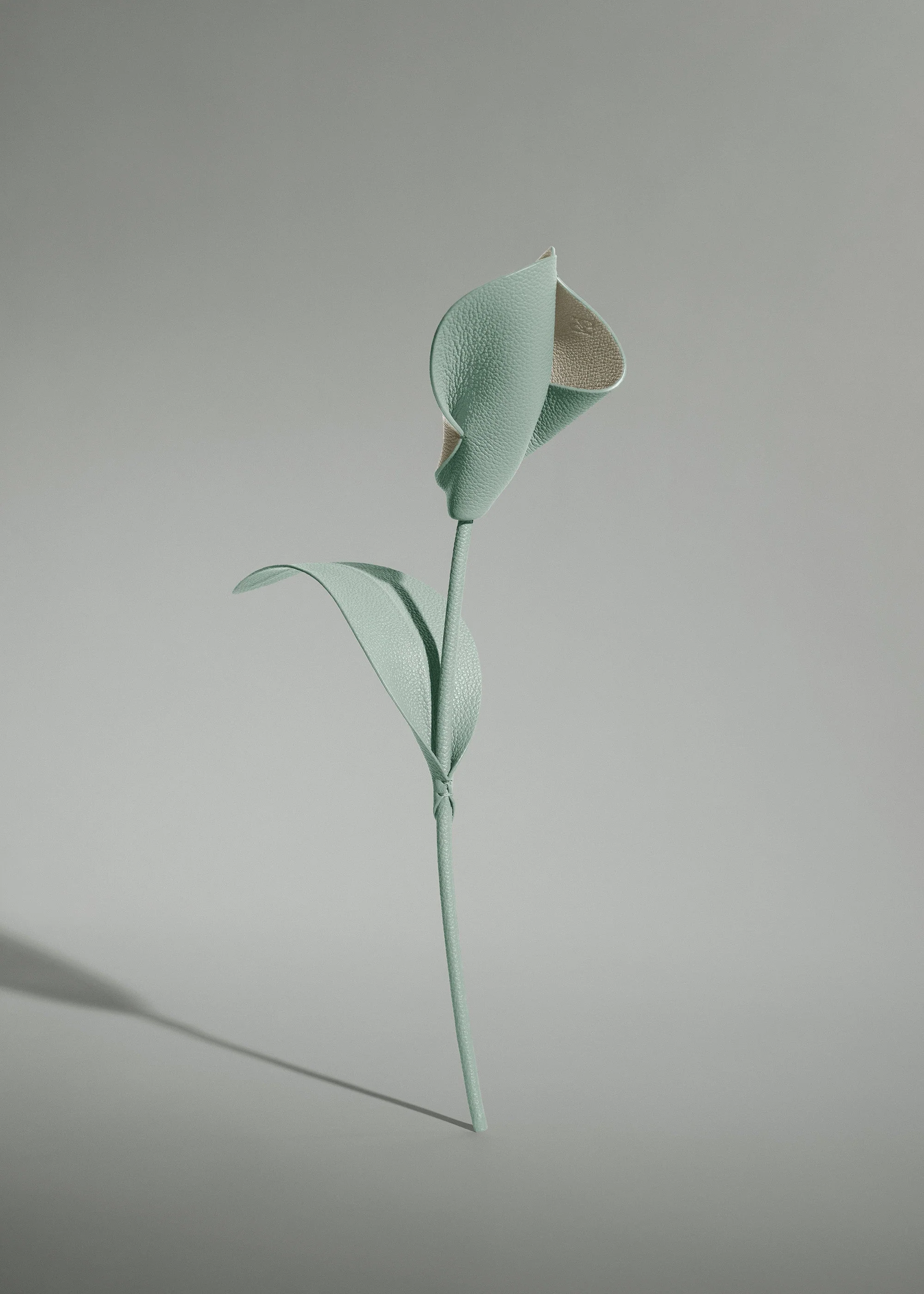 Blume Pili - Mandel Fresh - Image 2