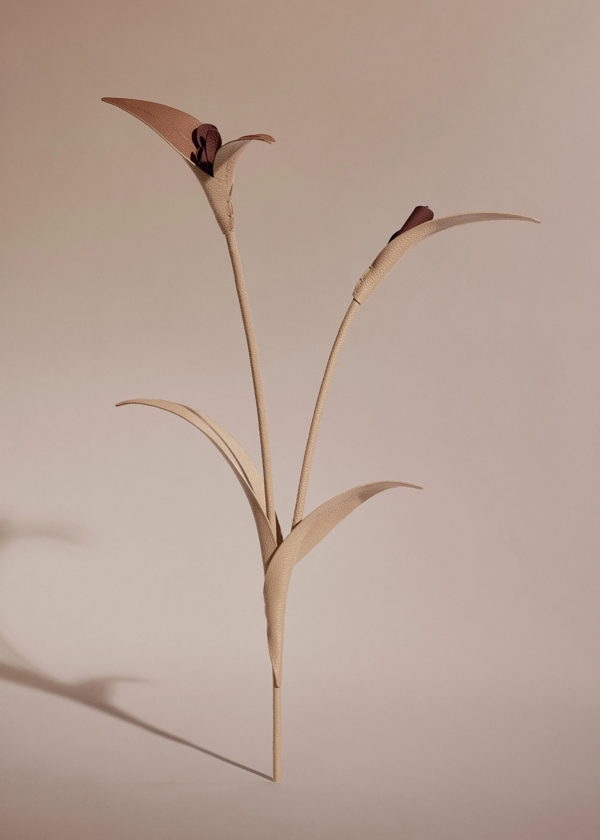 Blume Touka - Beige - Image 2