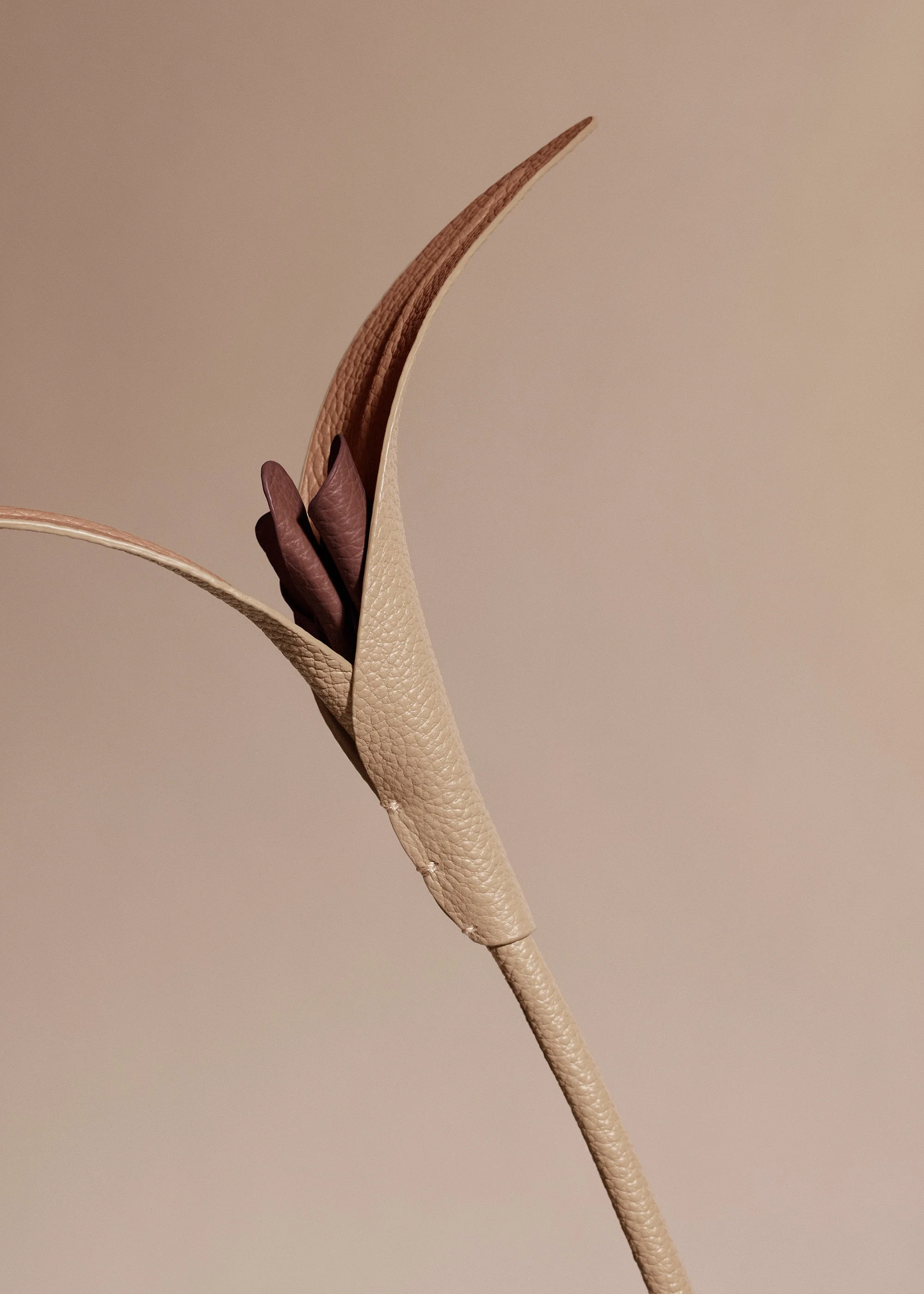 Blume Touka - Beige - Image 3