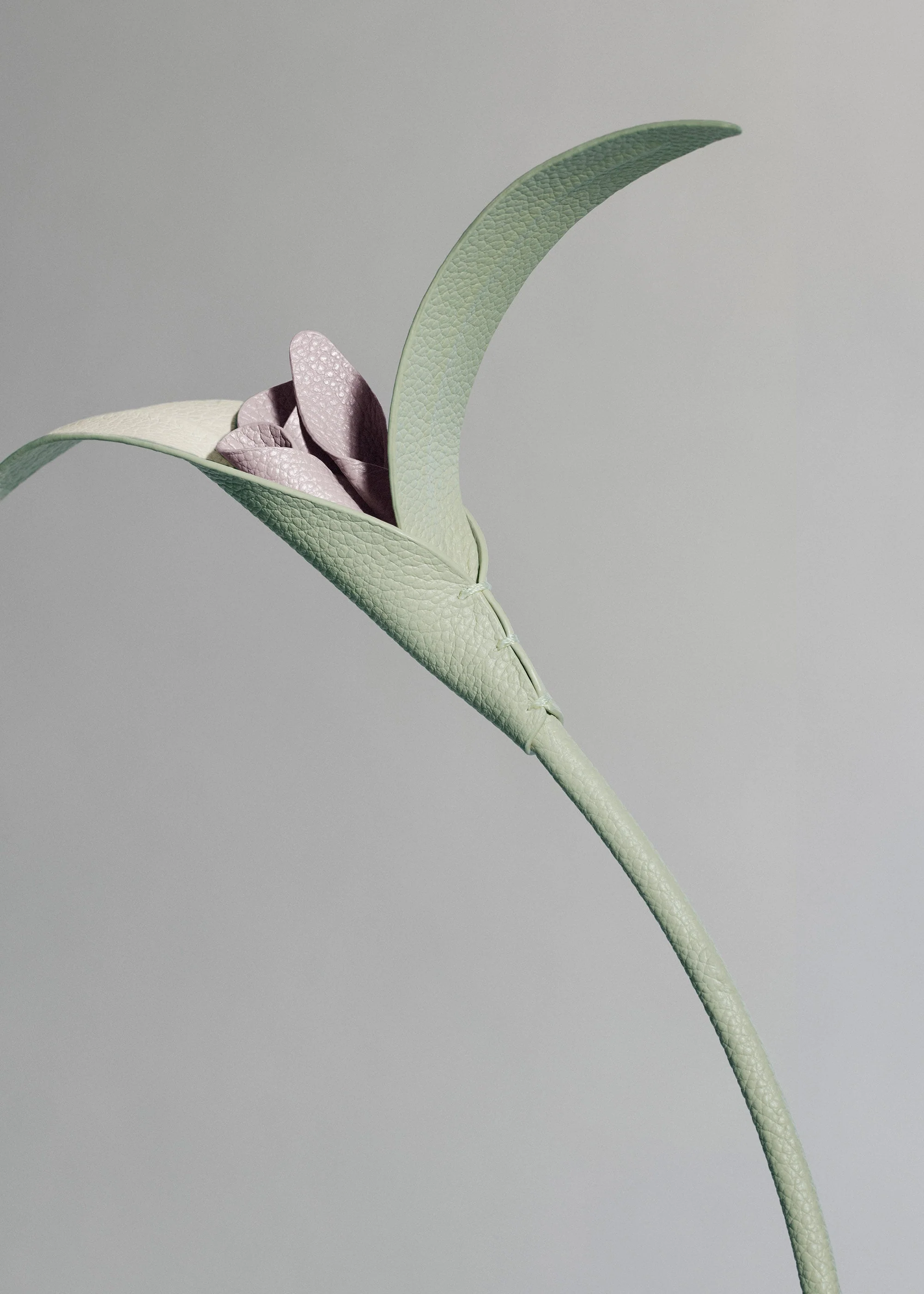 Blume Touka - Mandel Fresh - Image 3