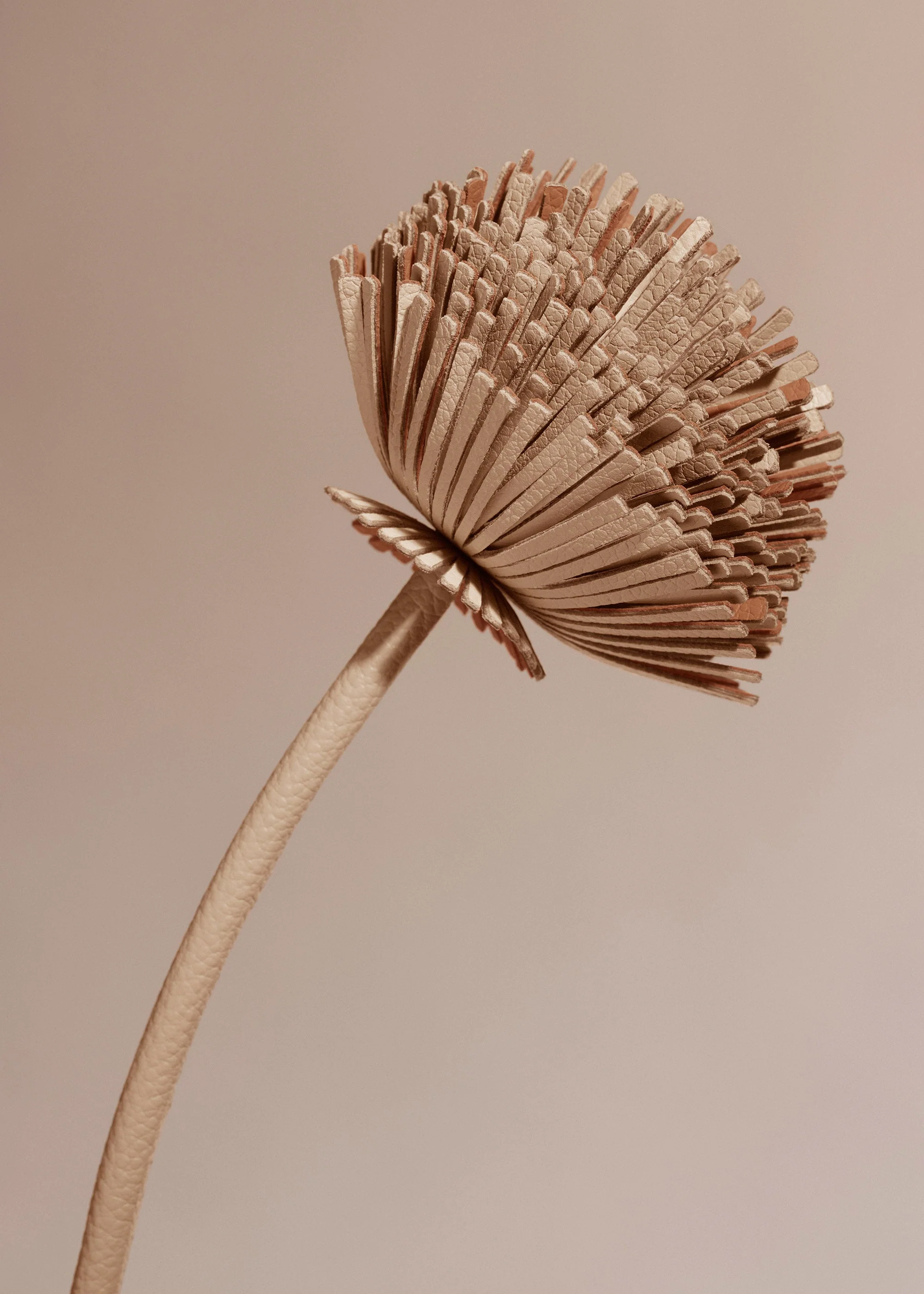 Blume Tul - Beige - Image 3