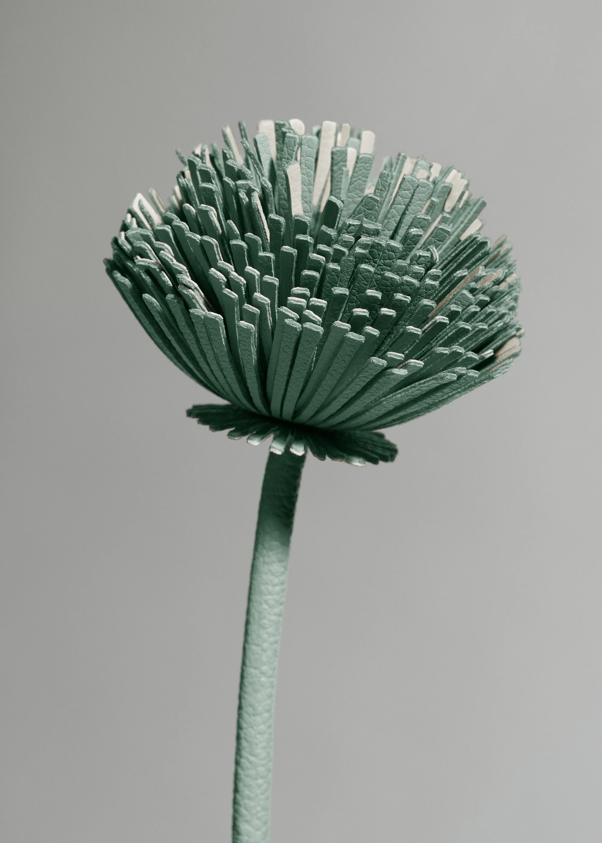 Blume Tul - Mandel Fresh - Image 3