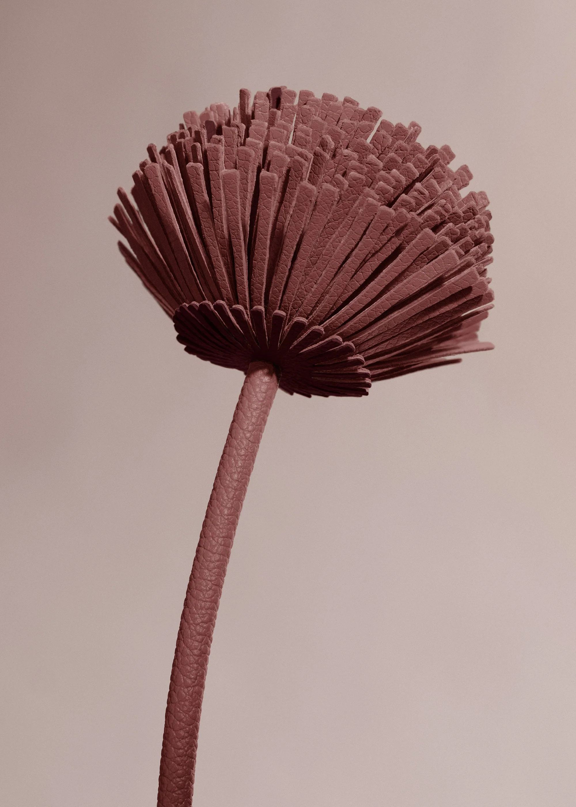 Blume Tul - Lilac - Image 3
